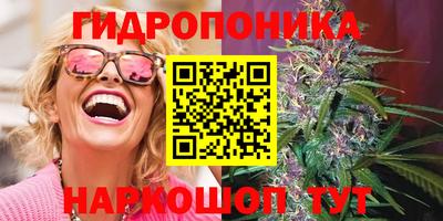 дмт Малгобек