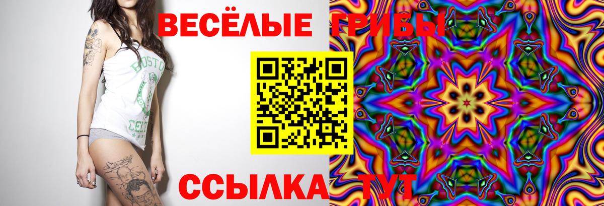 Грозный  Галлюциногенные грибы Psilocybine cubensis  Вход с VPN  Галлюциногенные грибы MAGIC MUSHROOMS 